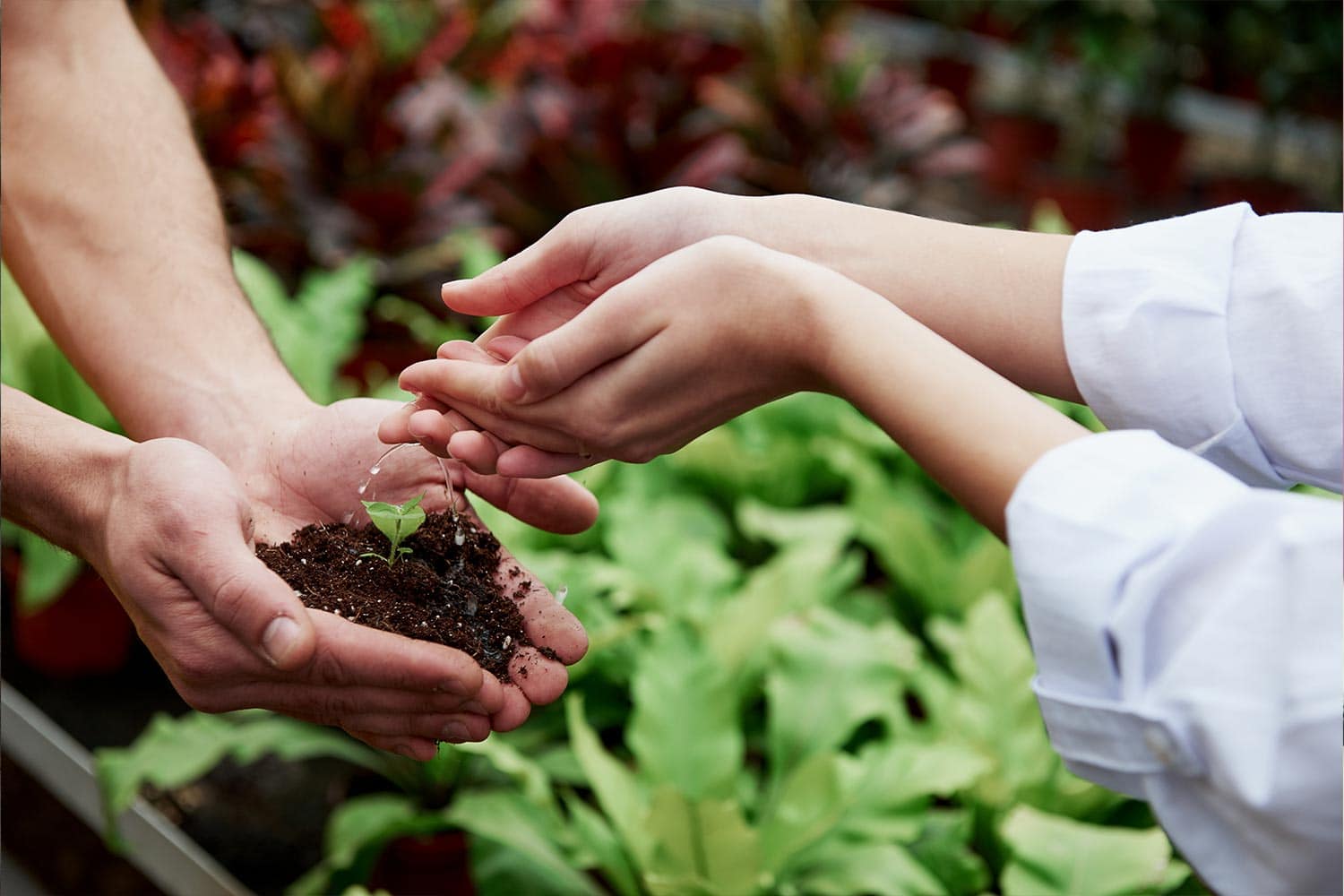 Gardening Day | Bakhita House